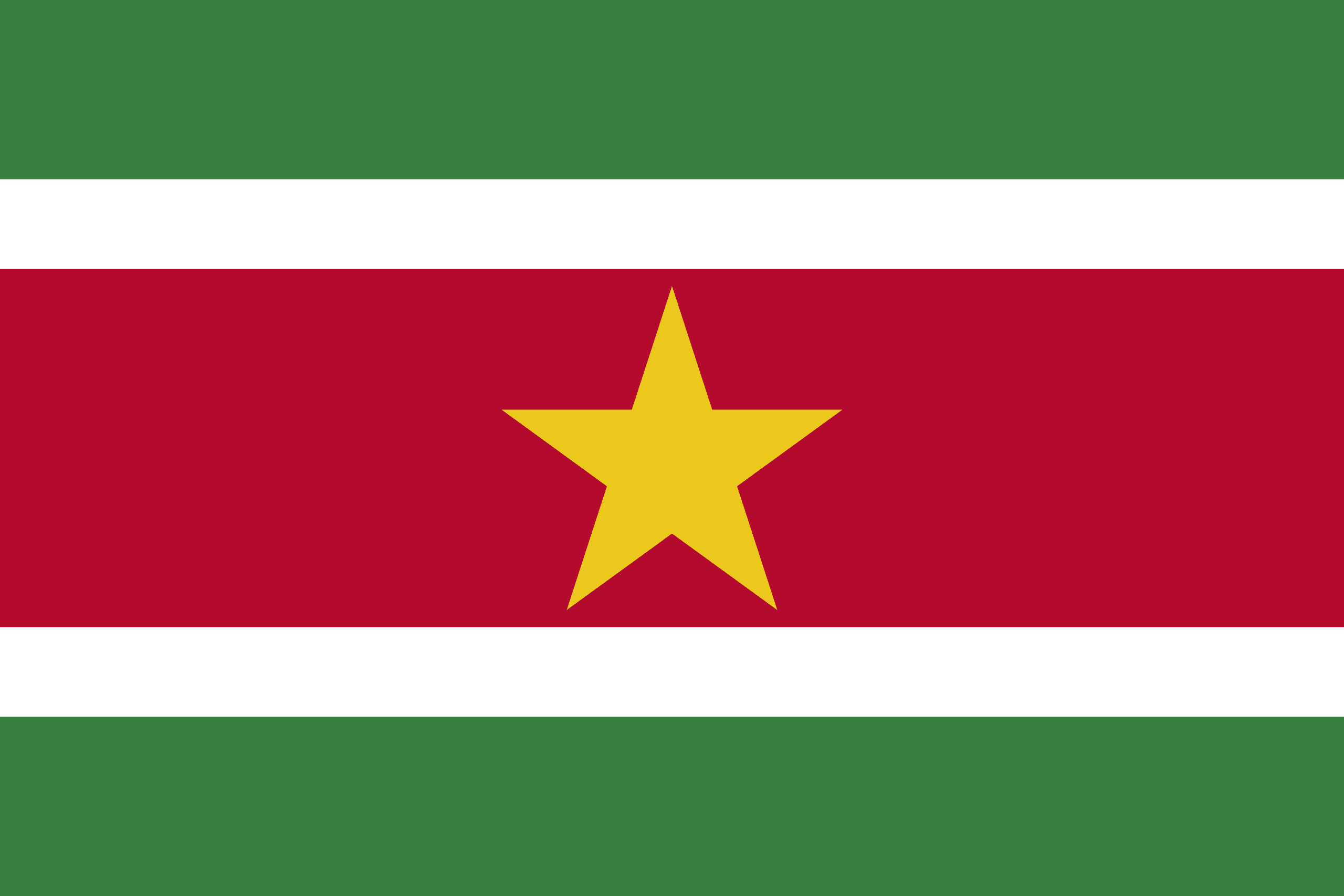 Suriname Residential Proxies