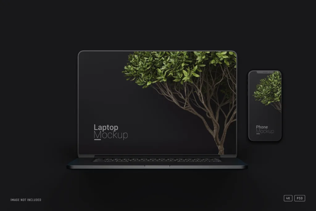 What is a MacBook proxy